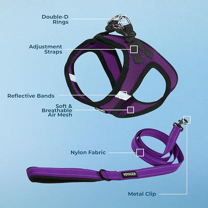 Best Pet Supplies Voyager Step-in Air All Weather Mesh Harness and Reflective Dog 5ft Leash Combo with Neoprene Handle, for Small, Medium and Large Breed Puppies - Set (Purple/Black Trim), X-Small