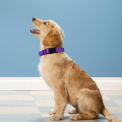 Reflective Dog Collar, Adjustable Soft Neoprene Padded Nylon Pet Collars with Buckle for Extra Large Dogs, Purple,XL