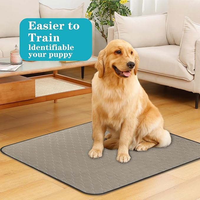 Bunlitent Washable Pee Pads for Dogs 18" x 24", 5 Pack, Potty Buddy for Dogs Washable, Dog Training Pads with Quick Dry, Large Anti-Slip Whelping Pad for Pet, Playpen, Incontinence, Housebreaking