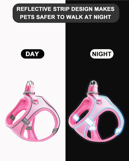 M Orange Soft Mesh Dog Harness and Leash Set,No Escape Puppy Harnesses for Training Walking， Reflective Adjustable Puppy Vest for Small Medium Dogs, Cats (Orange, M)