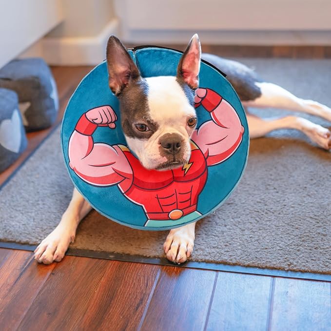 BEAUTYZOO Dog Cone Collar After Surgery for Large Medium Dogs, Soft Dog Cones Alternative to Stop Licking, Comfortable Inflatable Recovery Cones, Dogs Neck Donut Not Block Vision E-Collar, Blue M
