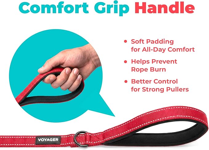 Best Pet Supplies Voyager Reflective Dog Leash or Collar with Neoprene Handle, for Small, Medium, and Large Breed Puppies, Cute and Heavy Duty for Walking, Running and Training - Red (Leash), M