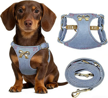 No Pull Dog Harness and Leash Set for Small Sized Dog Training; Puppy Harnesses with Multifunction Dog Leash, Soft Adjustable Denim No Choke Escape Proof Pet Harness for Small and Medium Dog (Blue S)