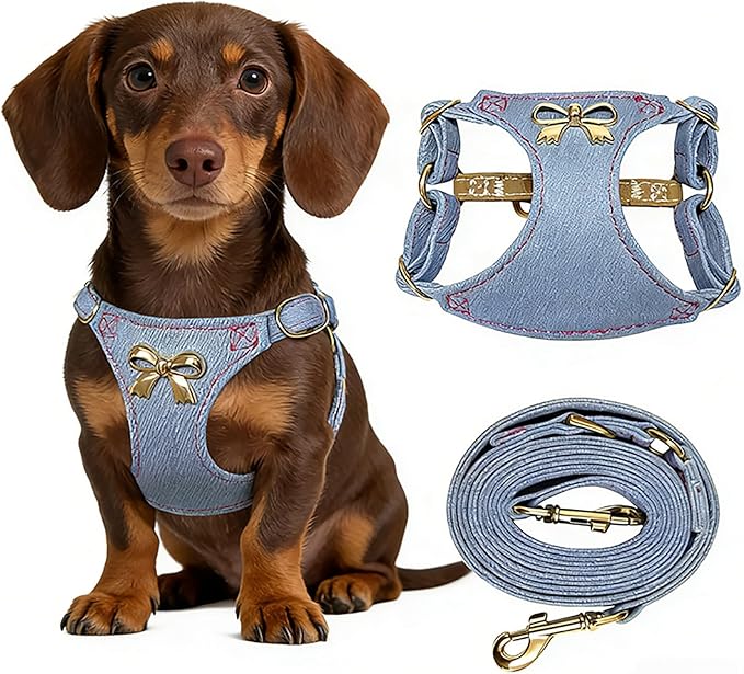 No Pull Dog Harness and Leash Set for Small Sized Dog Training; Puppy Harnesses with Multifunction Dog Leash, Soft Adjustable Denim No Choke Escape Proof Pet Harness for Small and Medium Dog (Blue XS)
