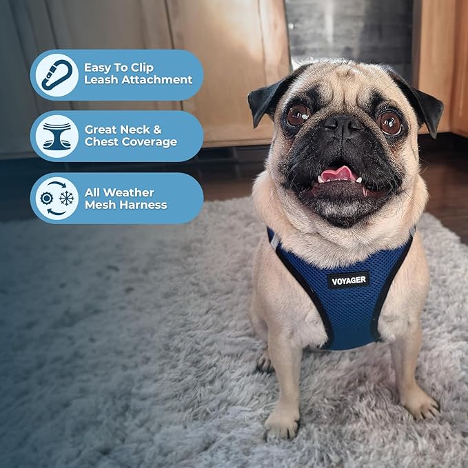 Best Pet Supplies Voyager Step-in Air All Weather Mesh Harness and Reflective Dog 5ft Leash Combo with Neoprene Handle, for Small, Medium and Large Breed Puppies - Set (Blue/Black Trim), X-Small