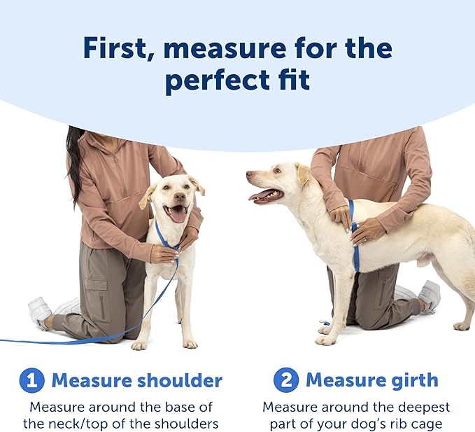 PetSafe Easy Walk Comfort No-Pull Dog Harness - Better Walk Training Harness - Full Body Padded Design - Durable Fabric - 5 Point Adjustable Fit - Everyday Leash Training - Green - Medium/Large