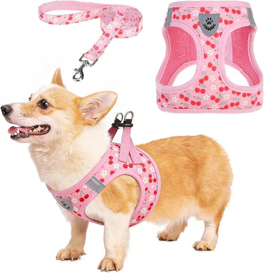 KOOLTAIL Dog Harness for Small Medium Dogs,Dog Harness and Leash Set, Step in No Pull Soft Mesh Padded Adjustable and Reflective Pet Vest Harness Puppy, Plaid Extra Harness for XS S Dogs,Pink Cherry,M