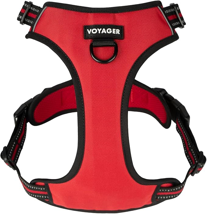 Voyager Dog Harness Dual Leash Attachment No-Pull Control Adjustable Soft but Strong Pet Harness for Medium and Large Dogs with 3M Reflective Technology, Red Lattice Nylon, M (Chest: 20-25")