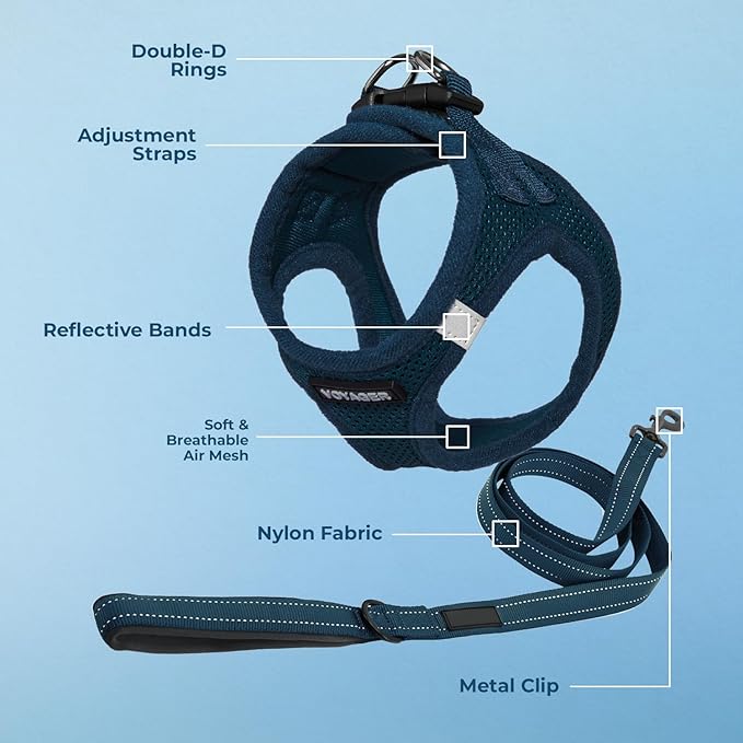 Best Pet Supplies Voyager Step-in Air All Weather Mesh Harness and Reflective Dog 5ft Leash Combo with Neoprene Handle, for Small, Medium and Large Breed Puppies - Set (Blue), Large
