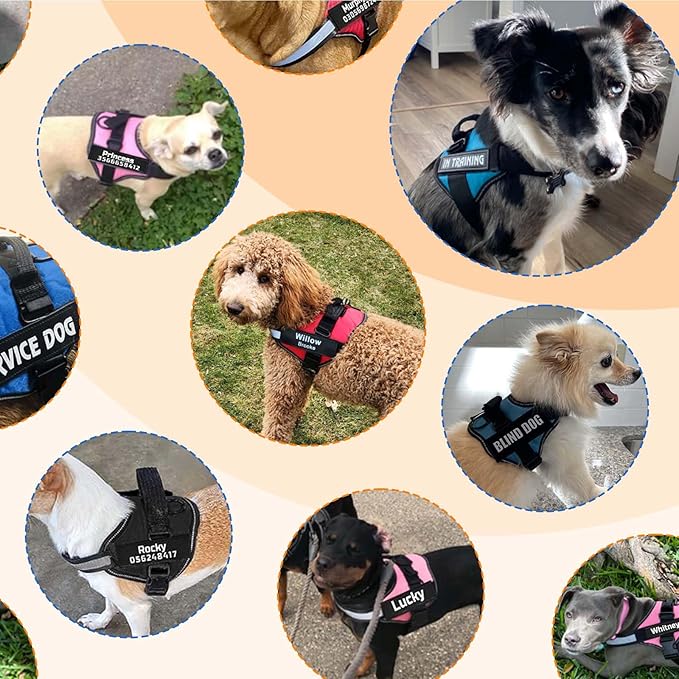 MUMUPET Custom Dog Harness Vest with 2 Personalized Name & Phone Patches, No Pull Reflective Adjustable with Handle, Soft Breathable Padding for Small Dogs (Blue, XS)