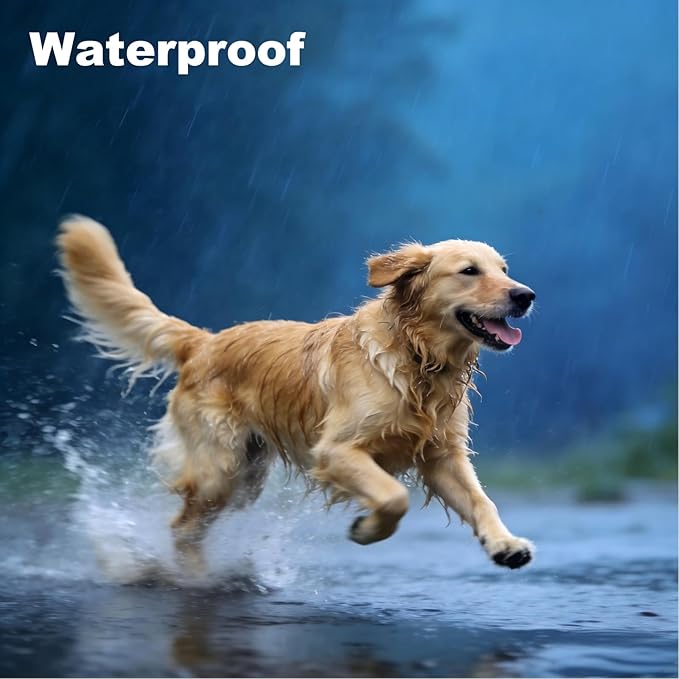 Flea and Tick Collar for Large Dogs, 2‑Pack | 8‑Month Waterproof Protection with Natural Essential Oils | Includes Comb & Tick Removal Tool