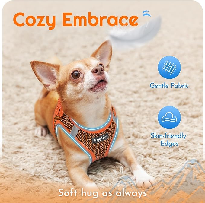 Eagloo Small Dog Harness and Leash Set, Step in Puppy Vest with Breathable Soft Mesh, Walking Reflective Pet Harness for Small Dogs, Orange, M