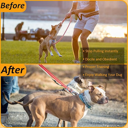 Quick Release Dog Collar, Metal Leash Collar for Small Dogs, Medium Dogs, Large Dogs (S (14-17" Neck))