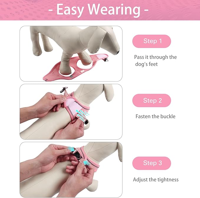 Dog Harness for Small Dogs and Leash Set, Honeycomb Grid, Reflective Lightweight Harness & Anti-Twist Pet Lead (Multi Color, XS, Pink)