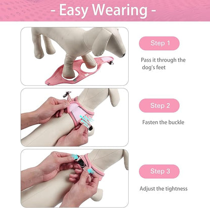 Dog Harness for Small Dogs and Leash Set, Honeycomb Grid, Reflective Lightweight Harness & Anti-Twist Pet Lead (Multi Color, XS, Pink)