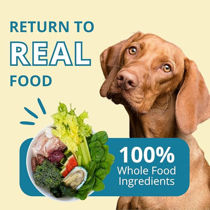 Steve's Real Food Freeze-Dried Raw Nuggets - Turkey Recipe - Raw Pet Food for Dogs and Cats - 20 oz