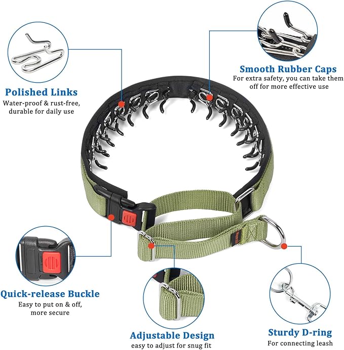 Mayerzon No Pull Dog Collar, Patented Martingale Collar for Small Medium Large Dogs with Buckle and Heavy Duty Nylon for Walking Training Hunting, Safe and Easy to Use(S, Green)