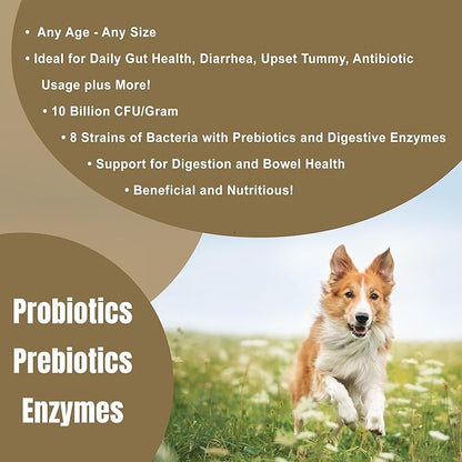Dogzymes Probiotic Max -10 Billion CFU's Probiotics, Prebiotics, Digestive Enzymes (2 Pound)