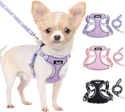 Lukovee No Pull Puppy Harness and Leash Set - Soft Lightweight Escape Proof Puppy Vest Harness, Breathable Adjustable Pet Harness with Dog Leash for Small Dogs (Purple, XXS)