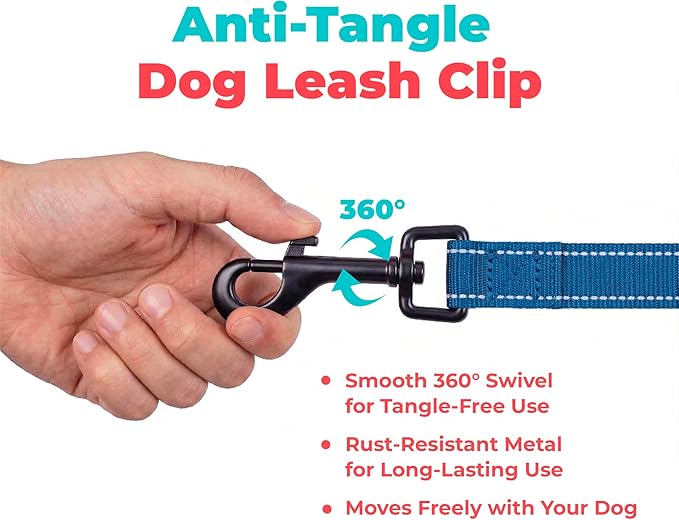 Best Pet Supplies Voyager Reflective Dog Leash or Collar with Neoprene Handle, for Small, Medium, and Large Breed Puppies, Cute and Heavy Duty for Walking, Running and Training - Royal Blue (Leash), M