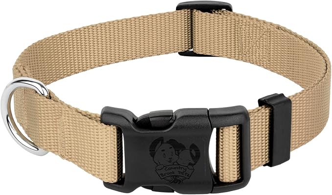 Country Brook Petz - Everyday Nylon Dog Collar for Large, Medium, and Small Dogs and Puppies - for Everyday Use in 10+ Warm Colors (2XS, 3/8 Inch Wide, Copper Gold)