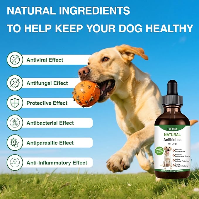 Antibiotics for Dogs | Natura Antibiotics for Dogs | Dietary Supplement Pet Antibiotic | Dog Vitamins and Supplements | Dog Antibiotic | 2 Oz