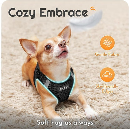 Eagloo Small Dog Harness and Leash Set, Step in Puppy Vest with Breathable Soft Mesh, Walking Reflective Pet Harness for Small Dogs, Black, S