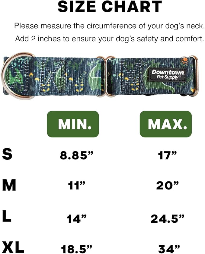 Downtown Pet Supply - Martingale Collar for Dogs - Dog Training Collar - Big, Wide & Thick Dog Collar - Escape-Proof, Weatherproof, Durable and Comfortable - Dino - Large Dog Collar