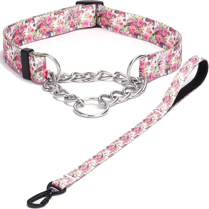 Martingale Dog Collar and Leash Set, Stainless Steel Chain, No Pull Training Collar with Flower Design, for Small, Medium, Large Dogs (NO28, S)