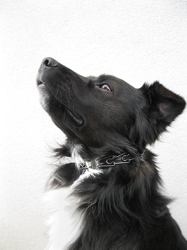 Herm Sprenger Stainless Steel Prong Dog Training Collar Ultra-Plus Pet Pinch Collar No-Pull Collar for Dogs Anti Pull Training Collar Made in Germany 3.2mm x 23in Medium