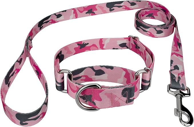 Country Brook Petz - Pink and Grey Camo Martingale Dog Collar and Leash - Camouflage Collection Featuring Rugged Designs (5/8 Inch, Small)