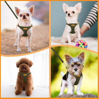 SlowTon Dog Harness Small Sized Dog - Soft XXS Dog Harness and Leash Set No Pull No Chock, Adjustable Lightweight Puppy Harness for XS Small Medium Dogs Cats (Solid Military Green, XXS)