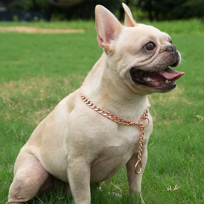 Stainless Steel P Chock Metal Chain -JYHY Dog Necklace Collars Walking Training Pet Supplies for Small Medium Large Dogs (22", Rose Gold)