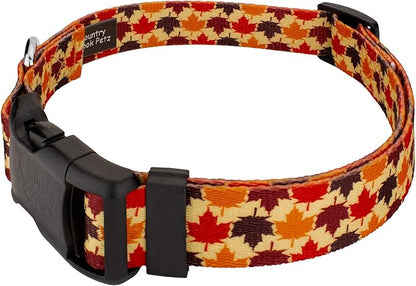 Country Brook Petz - Nature Walk Everyday Dog Collar and Leash Limited Edition - Awesome Autumn Collection Featuring Designs You Will Fall for (1 Inch, Medium)