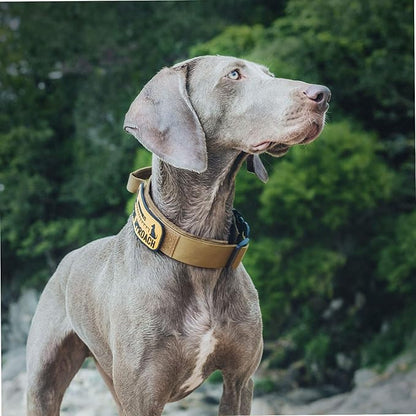 OneTigris Tough Dog Collars, Tactical Dog Collar with Handle, Milltary Adjustable Dog Collar with Heavy Duty Metal Buckle for Training (Medium (Pack of 1), Brown)