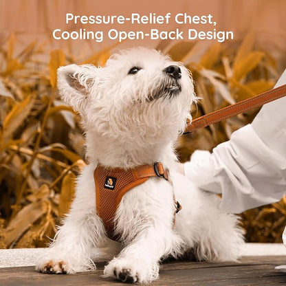 BELLA & PAL Adjustable Step-in Dog Harness, Puppy No-Pull Vest with Leash Set for XS/Small & Medium Dog, Breathable All-Weather Mesh, Reflective Strip, Secure Hook & Loop, Buckle Closure (Mokka, XS)