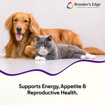 Breeder’s Edge B Strong Powder, B-Complex Vitamin Supplement for Dogs and Cats, Supports Reproductive Health, Promotes Normal Heat Cycles, and Helps Maintain Energy, 1kg