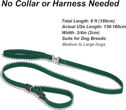 Slip Lead Dog Leash,Soft Corduroy 6 FT Dog Training Leash for Medium Large Dogs,No Pull Slip Leash and Collar with Padded Handle,Dark Green