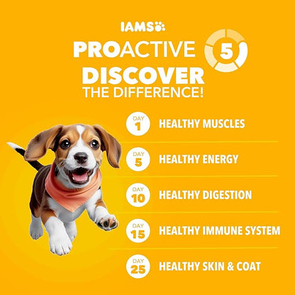 IAMS Proactive Health Puppy Food, Large Breed Premium Puppy Food for Large Dogs, 30.6 Lb. Bag