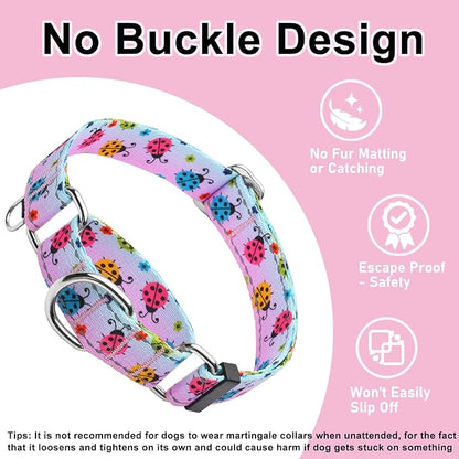 Reflective Martingale Collar for Dogs Nylon Training Collar with No Buckle, No Pull Adjustable Dog Collar for Small Dogs（Gradient Ladybug，S）