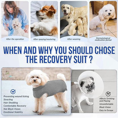 SlowTon Dog Surgery Recovery Suit - Soft Recovery Suit for Dogs Female Male, Dog Onesie for Surgery Female After Spay Prevent Licking, Neuter Suit for Male Dogs Surgical Recovery (Grey,XL)