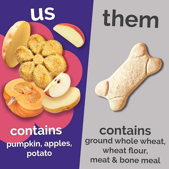 Fruitables Baked Dog Treats, Healthy Pumpkin Treat for Dogs, Low Calorie & Delicious, Pet Essential, Made with No Wheat, Corn & Soy, Made in the USA, Allergy Friendly, Pumpkin and Apple Flavor, 20 oz