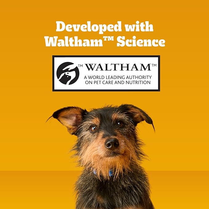Pedigree Dentastix Dental Chews for Dogs, Small and Toy Breed Dog Treats, Original with Real Chicken Flavor, (4) 58ct Bags (232 Treats Total)