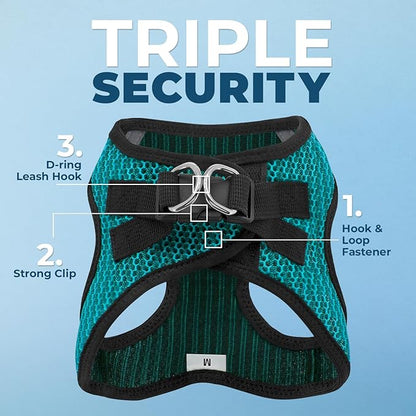 Best Pet Supplies Voyager Step-in Air Harness - All Weather Mesh, Reflective, No Pull Harness for Dogs, Cats - Secure with Hook & Loop Fastener, Buckle, Double D-Rings - Turqupise 2-Tone, S