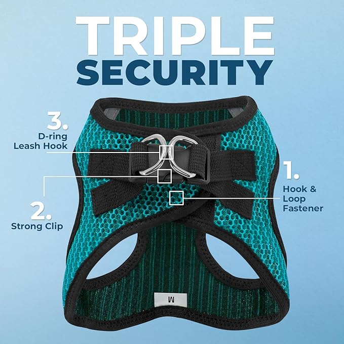 Best Pet Supplies - All Weather Mesh/Plush, Reflective, No Pull Harness for Small, Medium Dogs, Cats - Secure with Hook & Loop Fastener, Buckle, Double D-Rings - Turquoise 2-Tone, M
