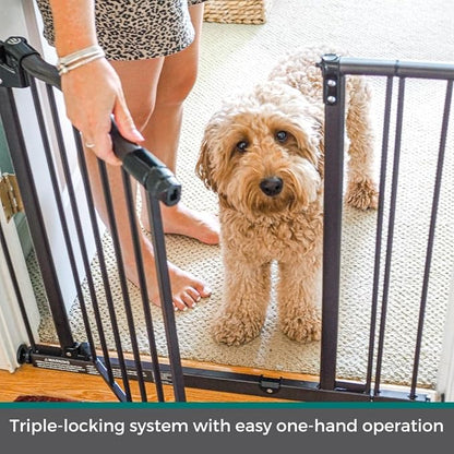 MyPet Windsor Arch Hold-Open & Auto-Close Pressure-Mount Pet Gate: Heavy-Duty Steel Gate 28.5in Tall Comes with Two 5in Extensions from 28in to 38in Wide in Matte Bronze