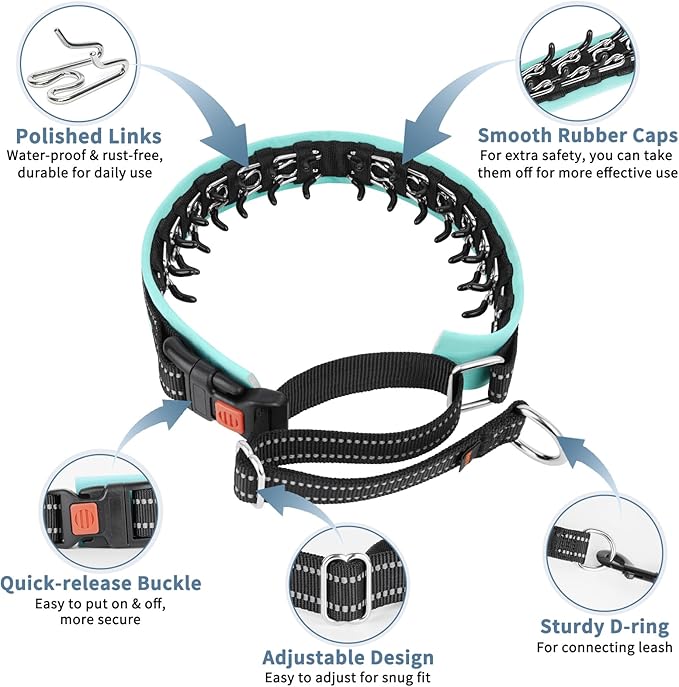 Mayerzon Martingale No Pull Collar for Medium Large Dogs, Patented Anti Pull Dog Collar with Buckle for Walking Training, with Neoprene Padding and Reflective Stitching, Adjustable(Teal Trim, L)