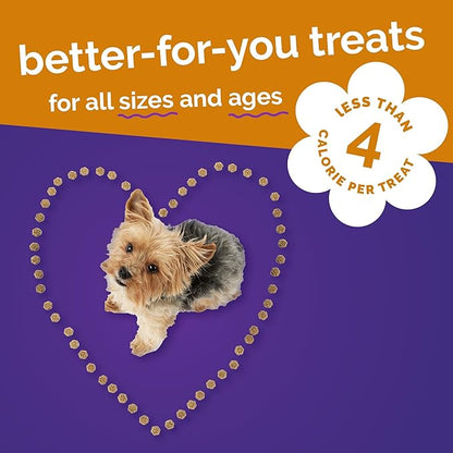 Fruitables Skinny Minis Dog Treats,Healthy Pumpkin Treat for Dogs,Low Calorie & Delicious,Puppy Training,No Wheat,Corn or Soy,Made in The USA,Rotisserie Chicken Flavor,5oz,(Pack of 2)