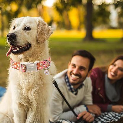ARING PET Spring Summer Dog Collar, Cute Daisy Wildflower Floral Blossom Pet Collars for Small Medium Large Girl Dogs-XS Size
