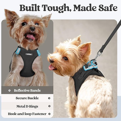rabbitgoo Dog Harness Small Sized and Leash Set, Step in Soft Light Puppy Vest, Breathable Mesh Pet Harness, Reflective for Outdoor Safe Walking, Black XXXS